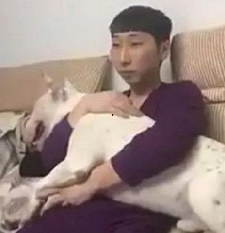 网友吃瓜惊讶视频,揭秘娱乐圈惊人内幕！