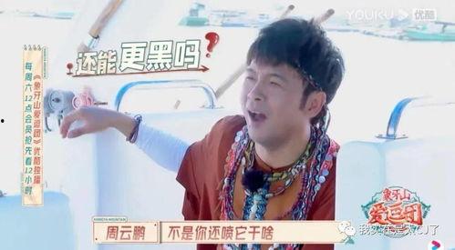 山东吃瓜宝哥,揭秘山东美食背后的故事与魅力