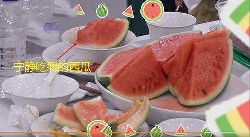 承欢记酒店吃瓜,揭秘网红酒店的吃瓜盛宴