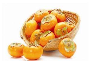 柿子与橘子吃瓜,吃瓜群众的甜蜜对决