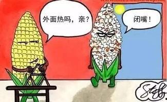 吃瓜墙活动,一场全民参与的趣味狂欢盛宴